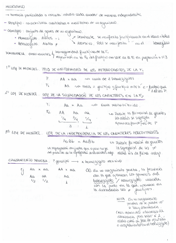 Miniatura del documento mendelismo-ligamiento.pdf