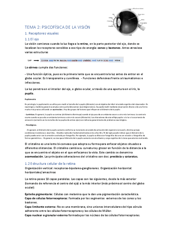 Miniatura del documento TEMA-2.pdf