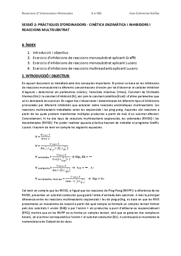 Miniatura del documento InformeP2RIMIzanCabrerizoIbanez.pdf