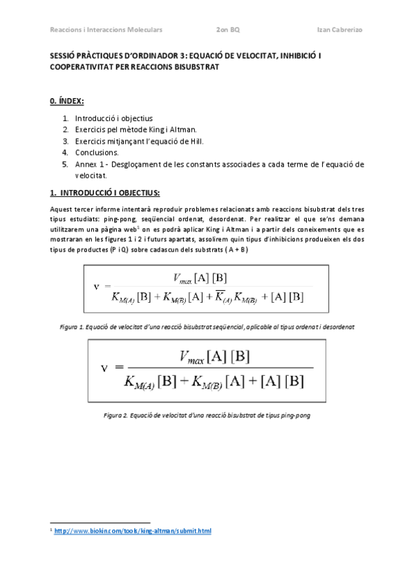 Miniatura del documento InformeP3RIMIzanCabrerizoIbanez.pdf