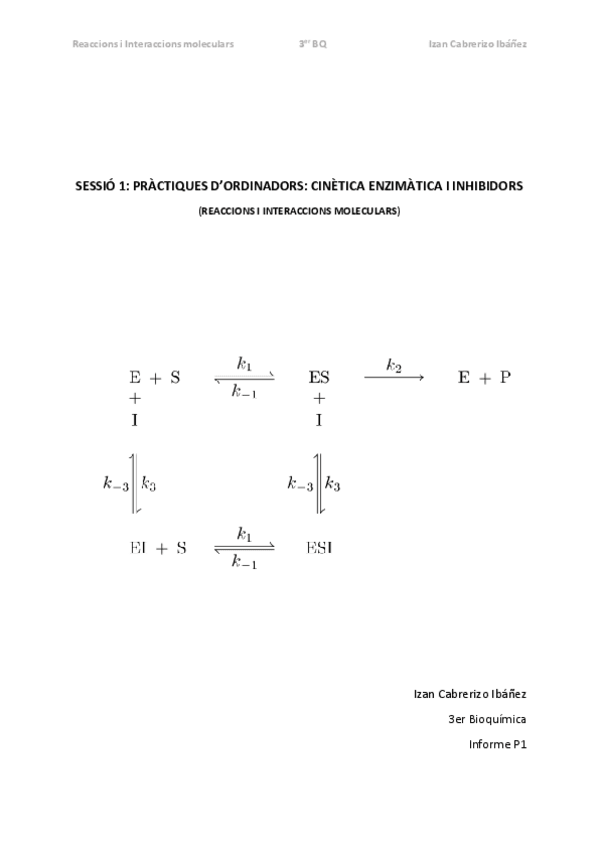 Miniatura del documento InformeP1RIMIzanCabrerizoIbanez.pdf