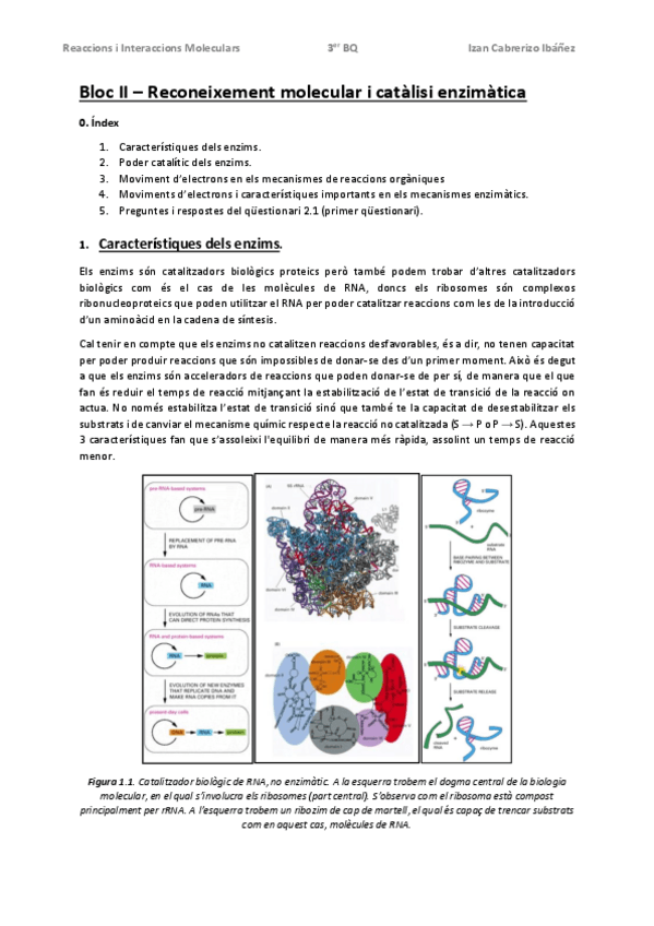 Miniatura del documento RIMAPUNTS.pdf