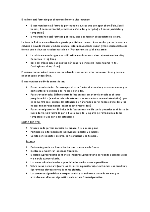 Miniatura del documento Neurocraneo.pdf
