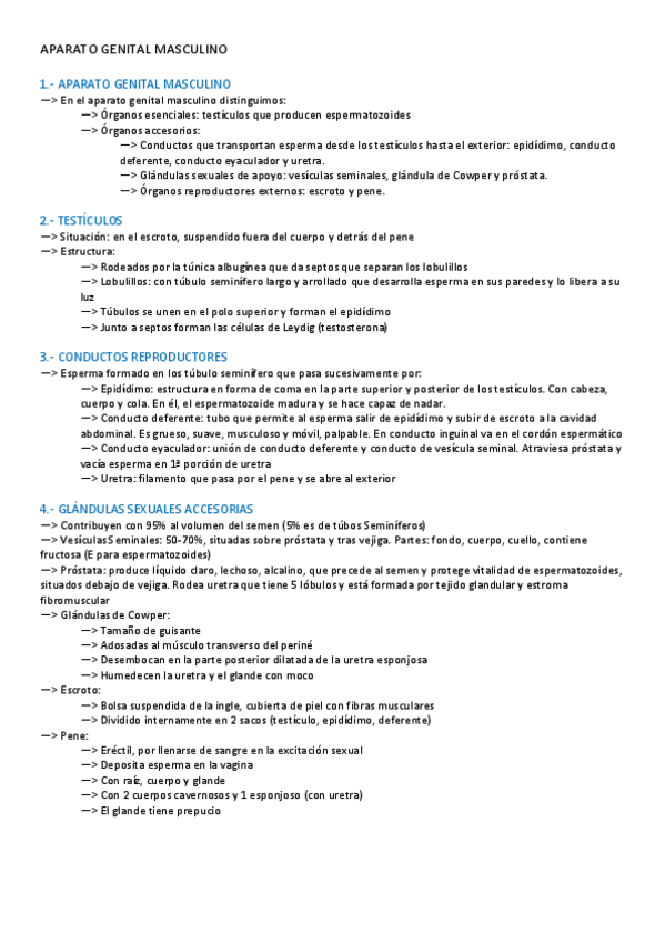 Miniatura del documento APARATO-REPRODUCTOR-MASCULINO.pdf