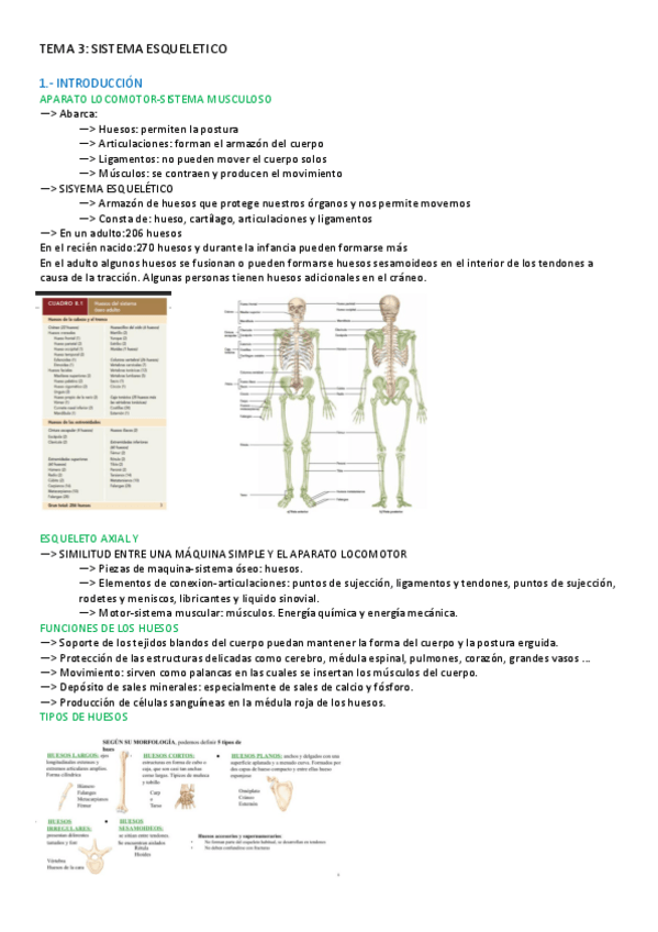Miniatura del documento TEMA-3-ANATOMIA.pdf