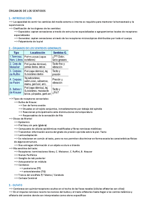 Miniatura del documento SENTIDOS.pdf