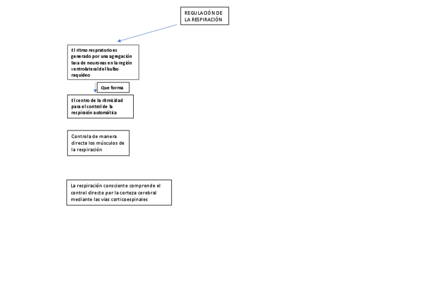 Miniatura del documento RESPIRATORIO-3.pdf