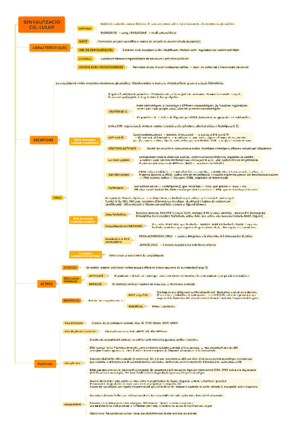 Miniatura del documento Esquema-senyalitzacio-Paula-Luque.pdf