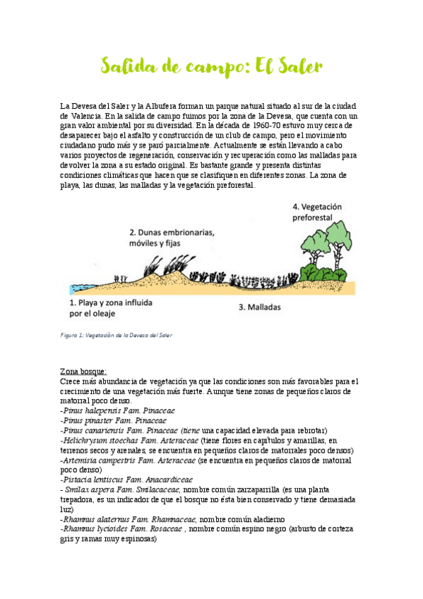 Miniatura del documento Memoria salida El Saler - Ricardo Garilleti.pdf