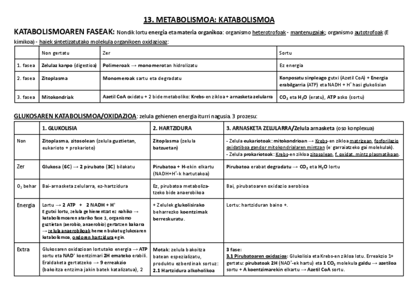 Miniatura del documento 13. METABOLISMOA: KATABOLISMOA.pdf