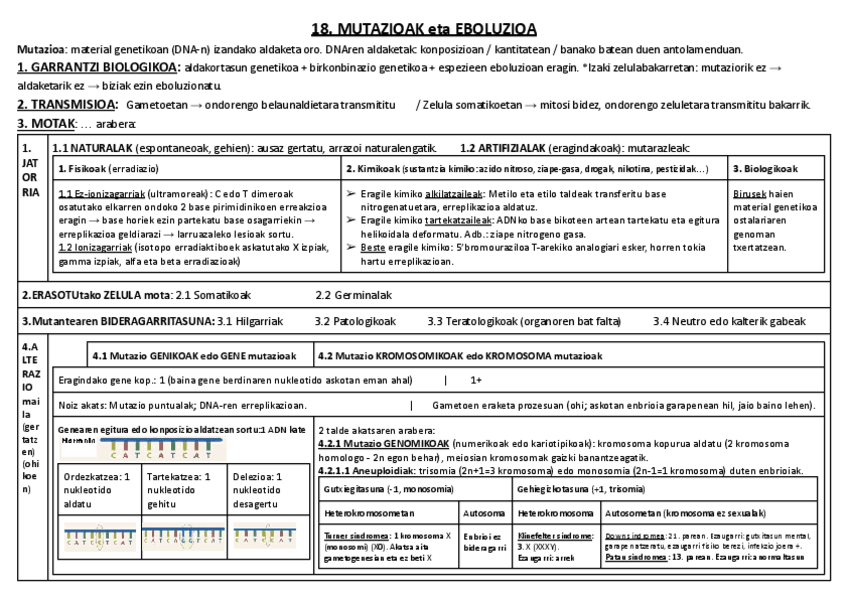 Miniatura del documento 18. MUTAZIOAK ETA EBOLUZIOA.pdf
