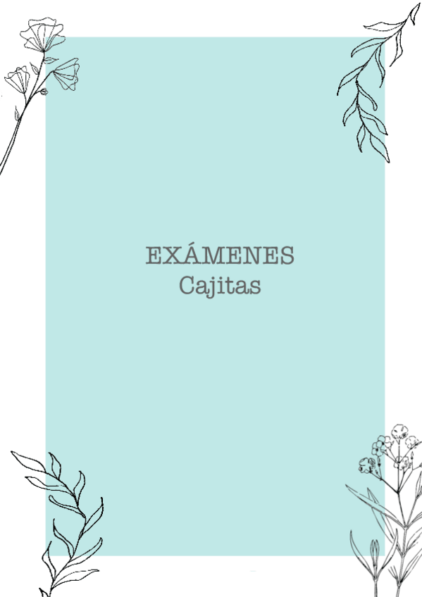 Miniatura del documento Examenes-Cajitas.pdf