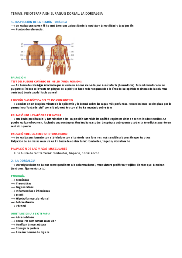 Miniatura del documento TEMA-5-LOCOMOTOR.pdf