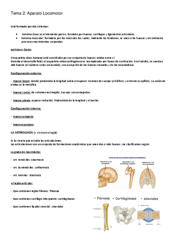 Miniatura del documento 2.pdf
