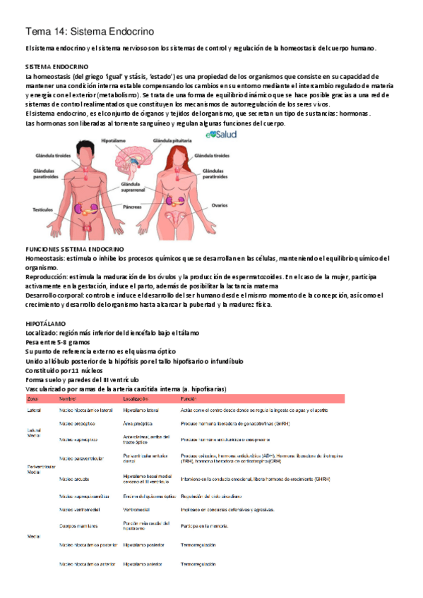 Miniatura del documento 14.pdf