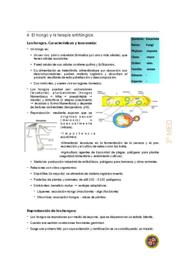 Miniatura del documento Hongos.pdf