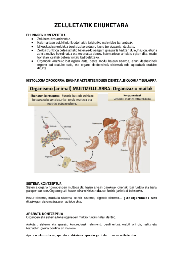 Miniatura del documento 1.pdf