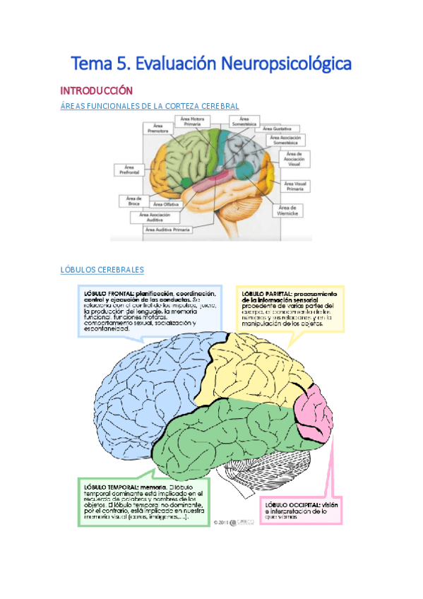 Miniatura del documento Tema-5.pdf