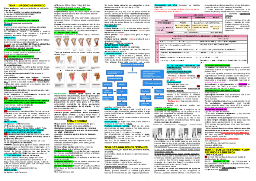 Miniatura del documento Resum-Endo-4rt.pdf