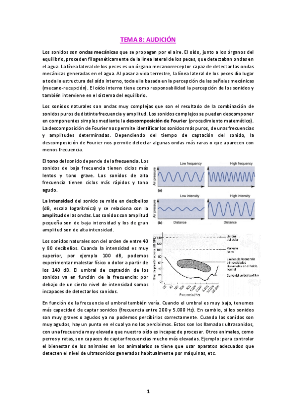 Miniatura del documento T8-Audicion.pdf