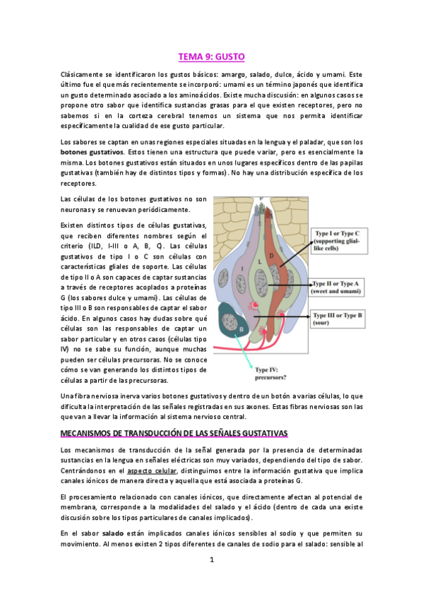 Miniatura del documento T9-Gusto.pdf