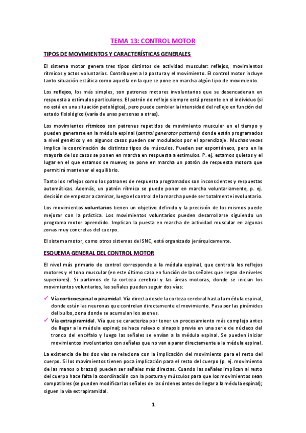 Miniatura del documento T13-Control-motor.pdf