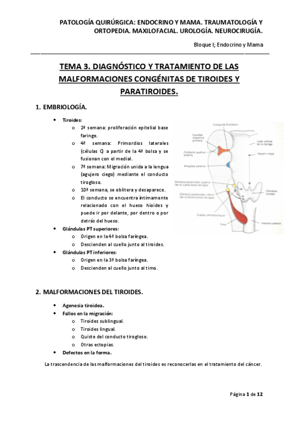 Miniatura del documento Qx-Tema-3.pdf