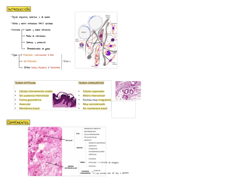 Miniatura del documento Tema-3.pdf