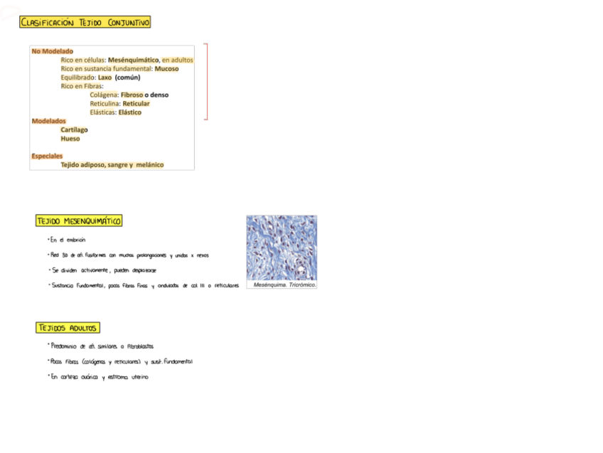 Miniatura del documento Tema-4.pdf