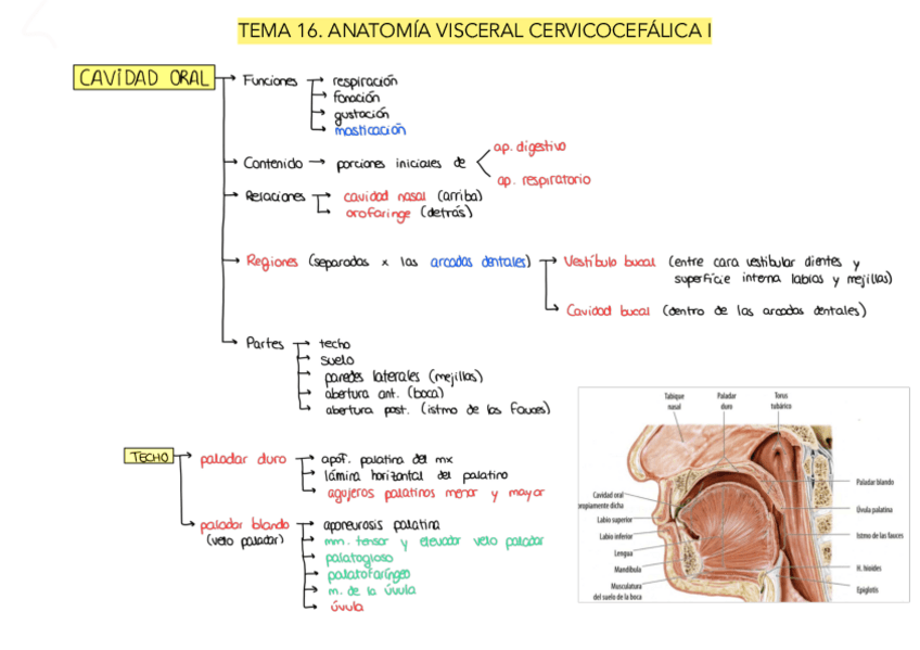 Miniatura del documento Tema-16.pdf