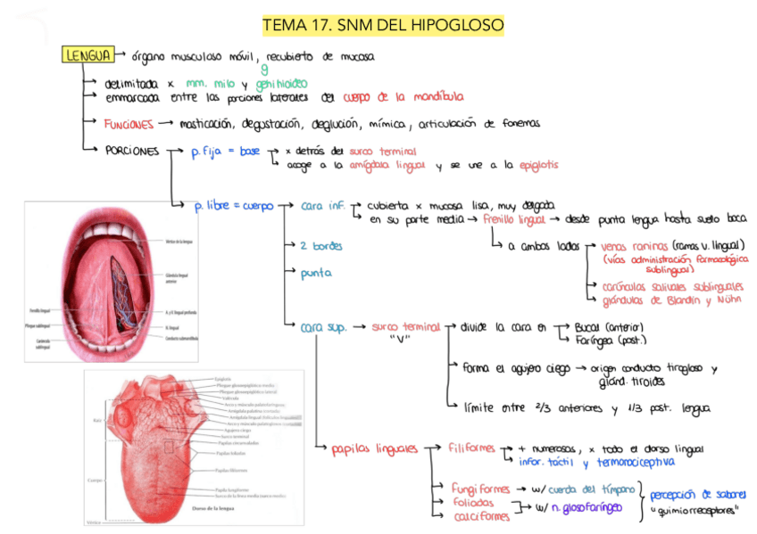 Miniatura del documento Tema-17.pdf