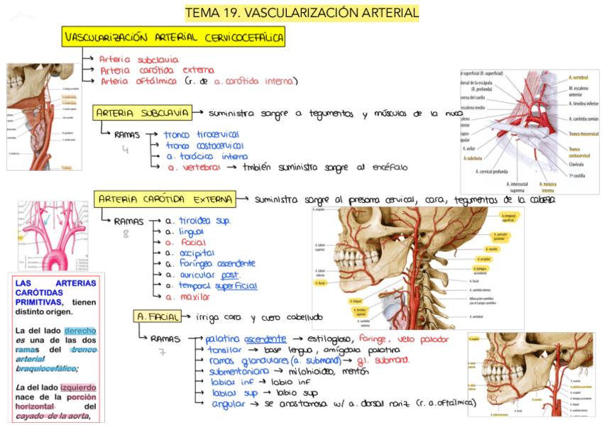 Miniatura del documento Tema-19.pdf