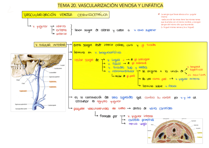 Miniatura del documento Tema-20.pdf