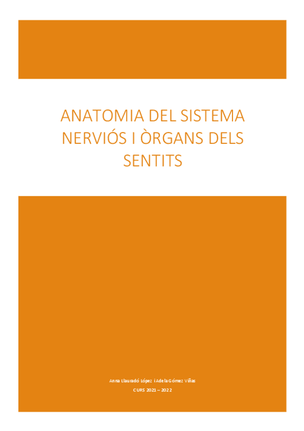 Miniatura del documento Apunts-finals-anato-SN.pdf