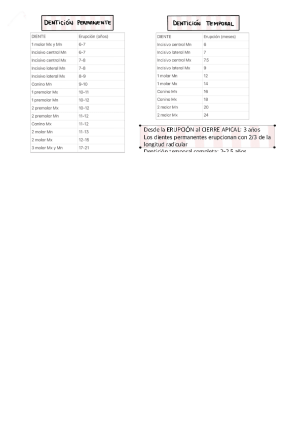 Miniatura del documento TABLA-ERUPCION-DIENTES.pdf