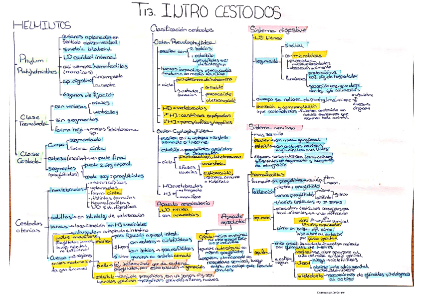 Miniatura del documento Cestodos.pdf