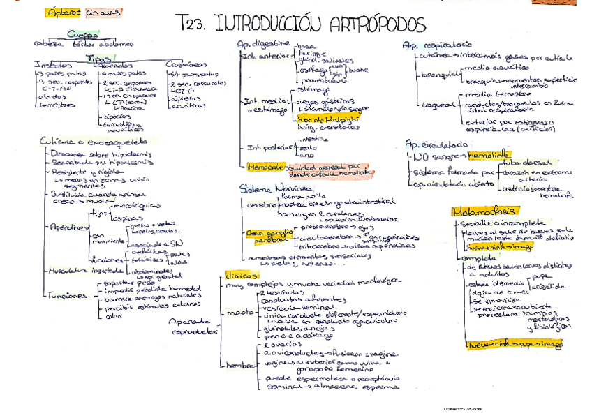 Miniatura del documento Artropodos-.pdf
