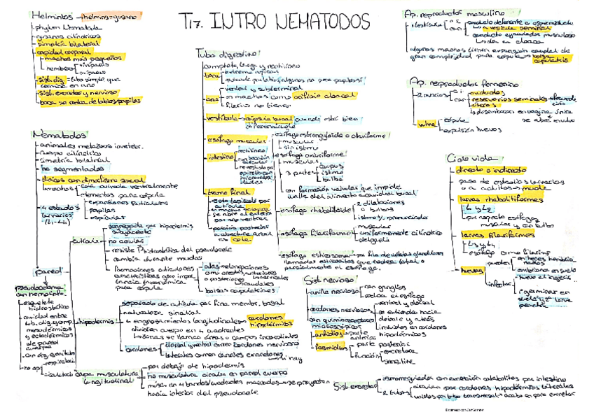 Miniatura del documento Nematodos-.pdf