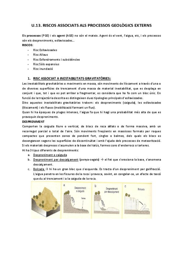 Miniatura del documento Riscos-associats-als-processos-geologics-externs.pdf