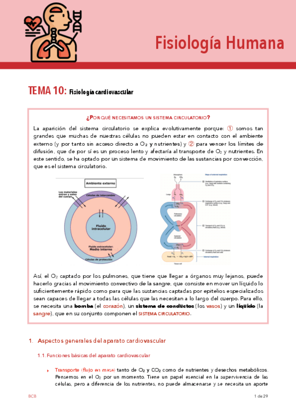 Miniatura del documento FISIO-TEMA-10.pdf