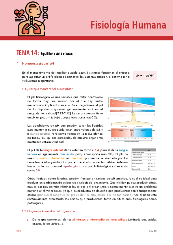 Miniatura del documento FISIO-TEMA-14.pdf