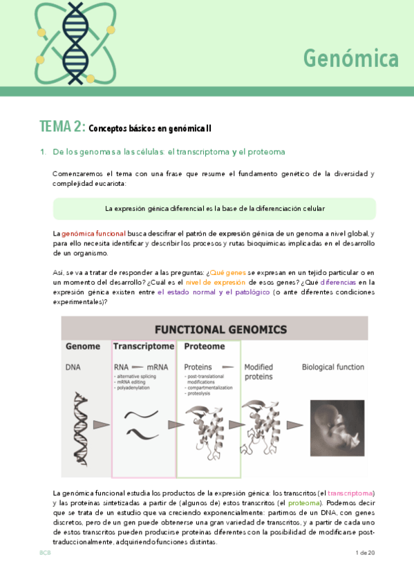 Miniatura del documento GENOMICA-tema-2.pdf