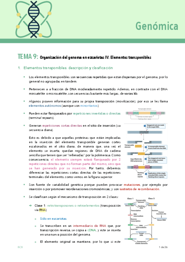 Miniatura del documento GENOMICA-TEMA-9.pdf
