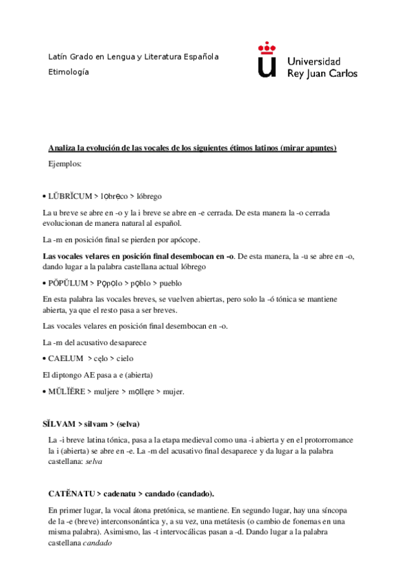 Miniatura del documento Ejercicios-evolucion-de-las-vocales.docx