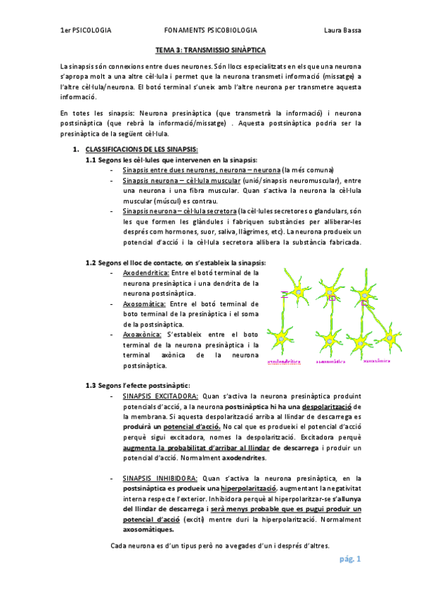 Miniatura del documento TEMA 3 - TRANSMISSIÓ SINÀPTICA.pdf