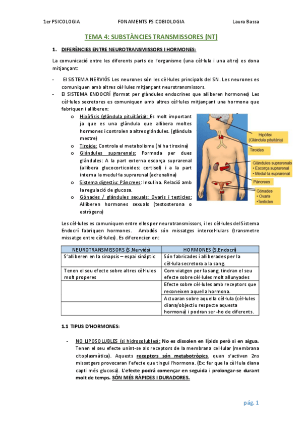 Miniatura del documento TEMA 4 - NEUROTRANSMISSORS.pdf