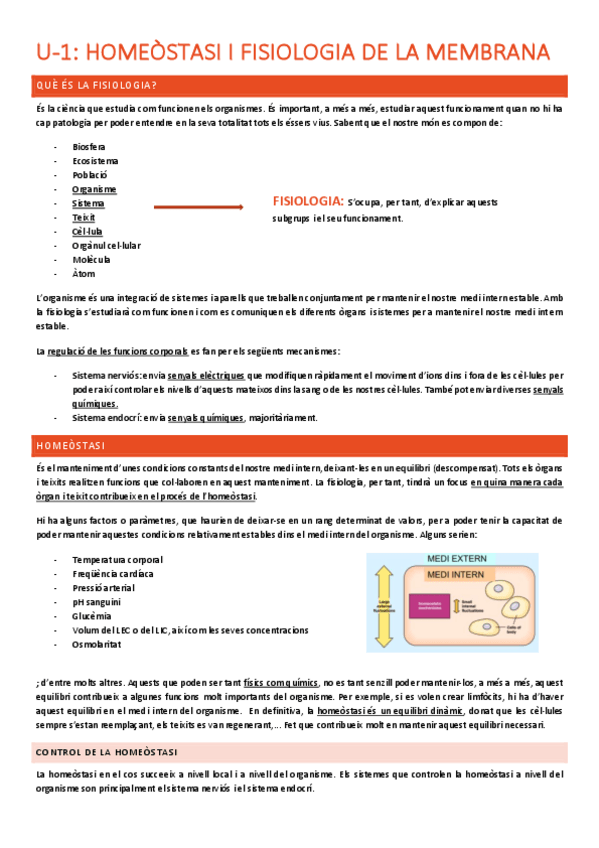 Miniatura del documento Homeostasi-i-Neurofisiologia-1-38.pdf