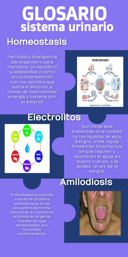 Miniatura del documento glosario-urinario.pdf