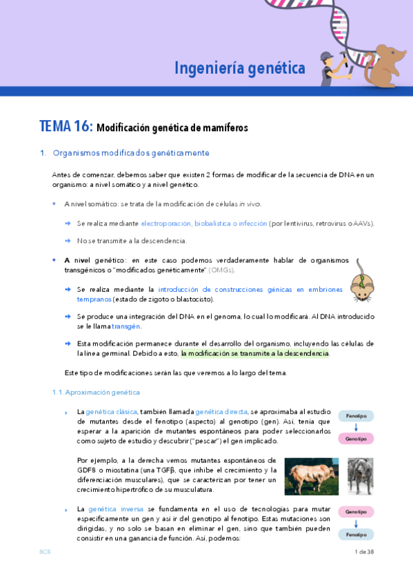 Miniatura del documento Ingenieria-genetica-TEMA-16.pdf