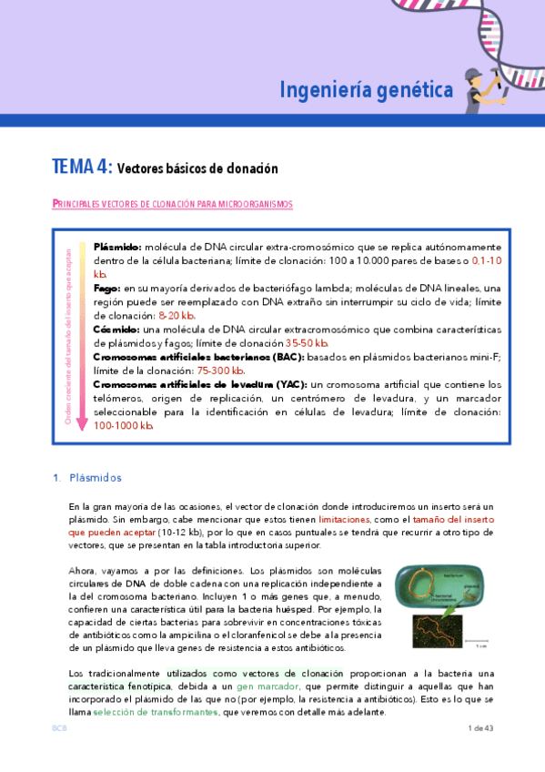 Miniatura del documento Ingenieria-genetica-TEMA-4.pdf